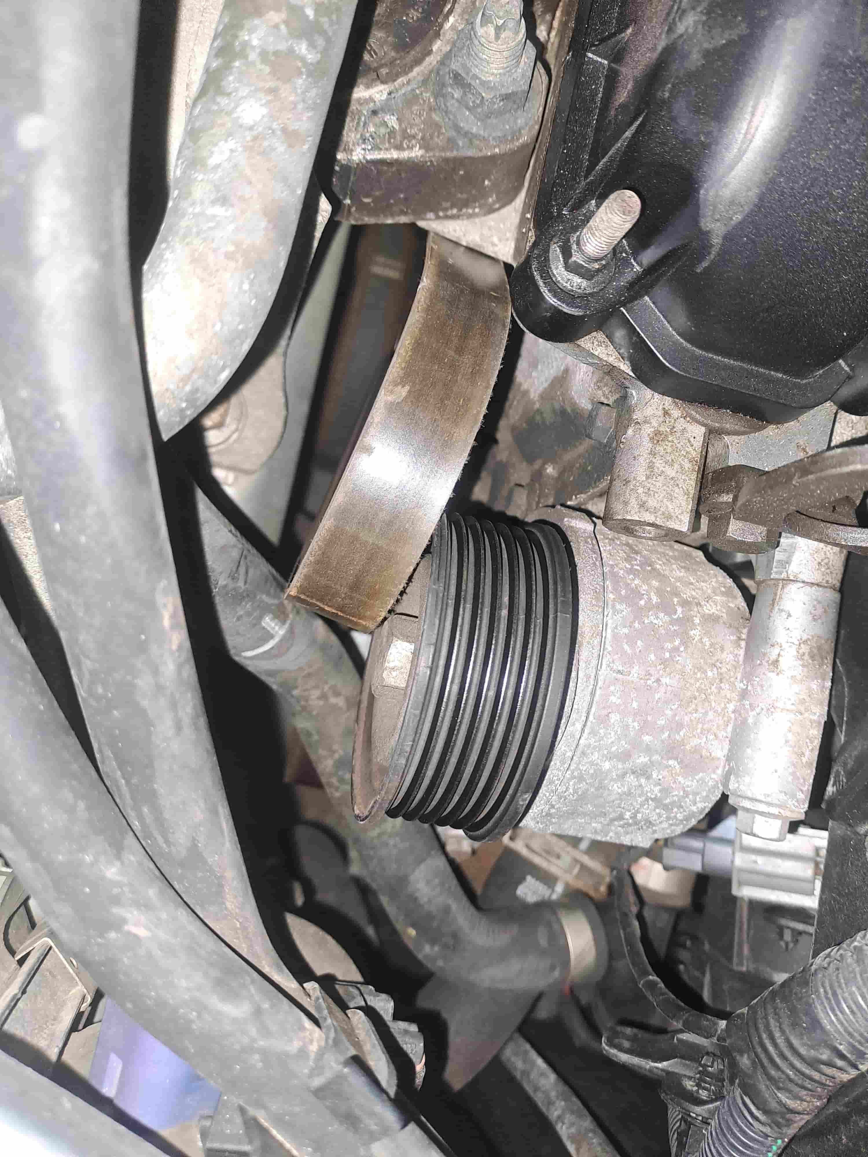 Serpentine Belt